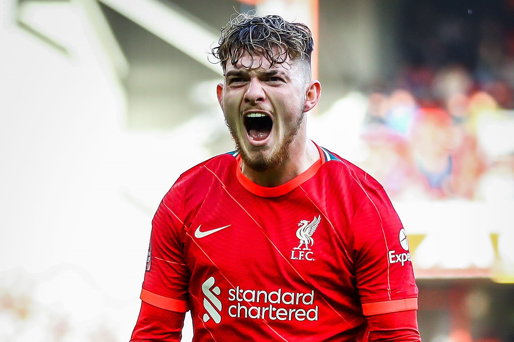 Sao tre Liverpool lap ky luc tai Champions League hinh anh