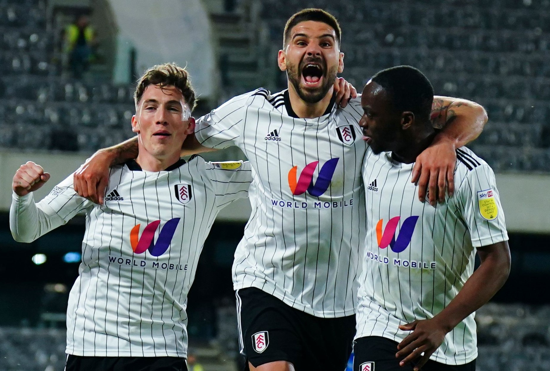 Fulham tro lai Premier League hinh anh