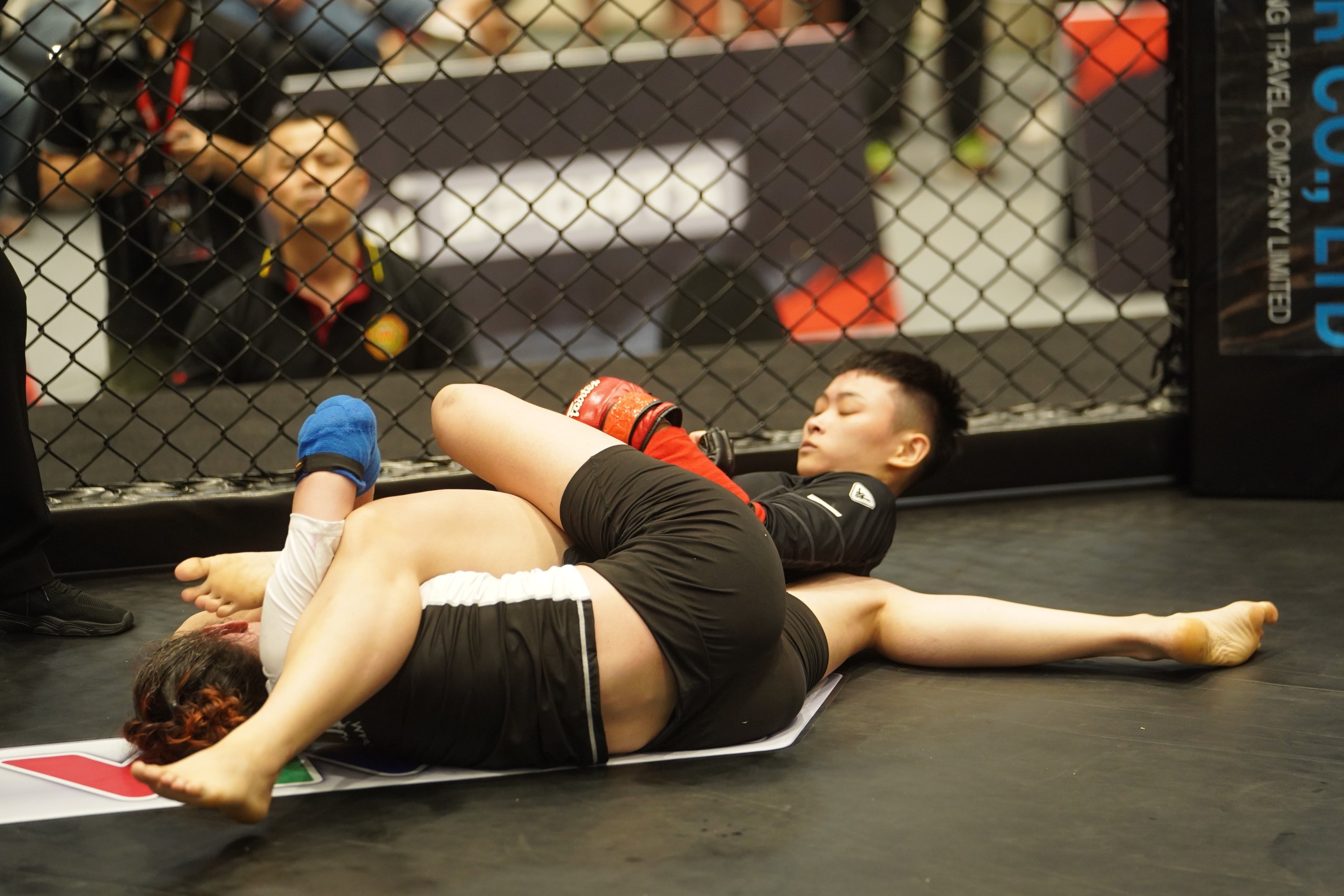 Lion Championship anh 5