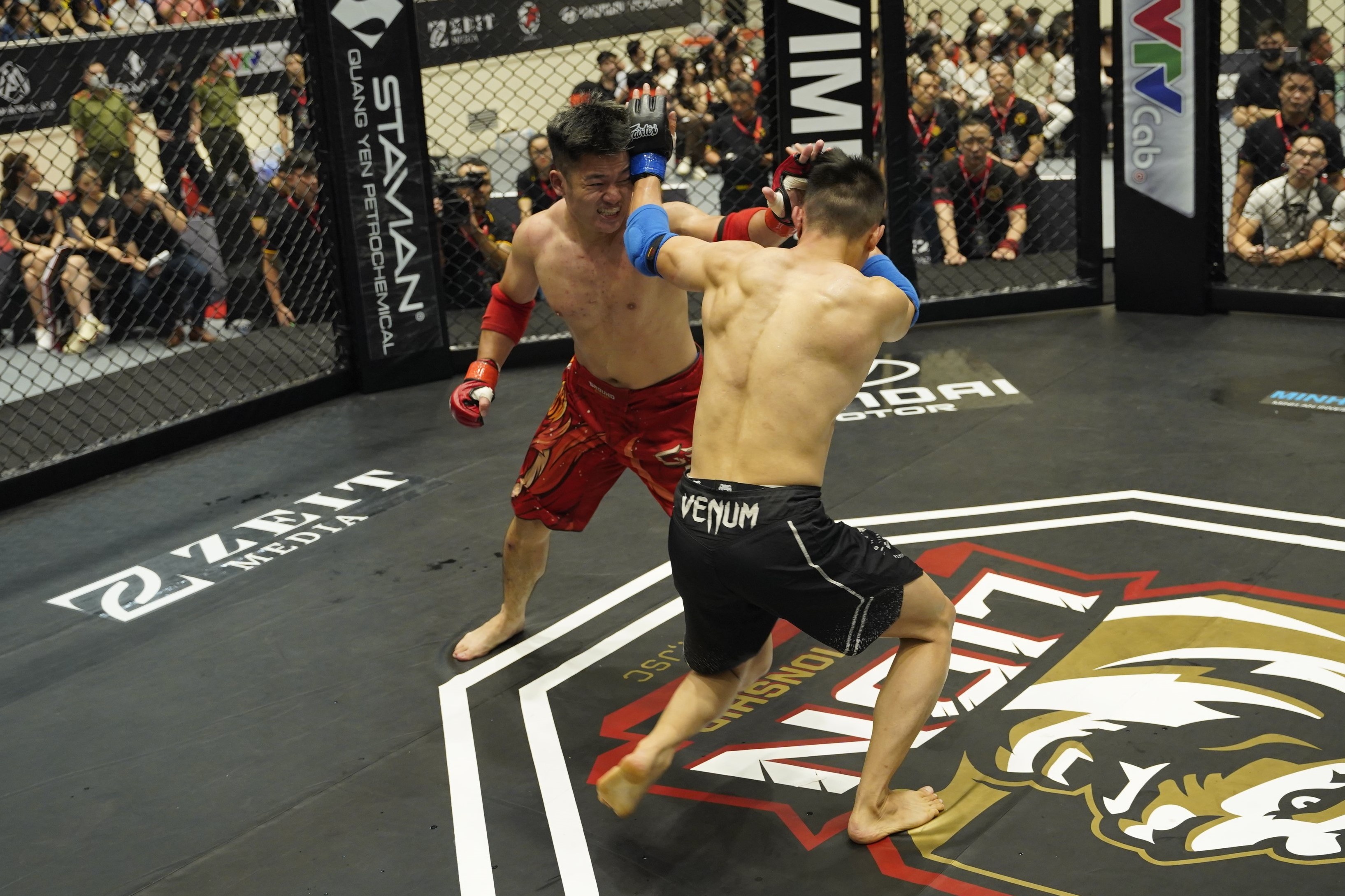 Lion Championship anh 7