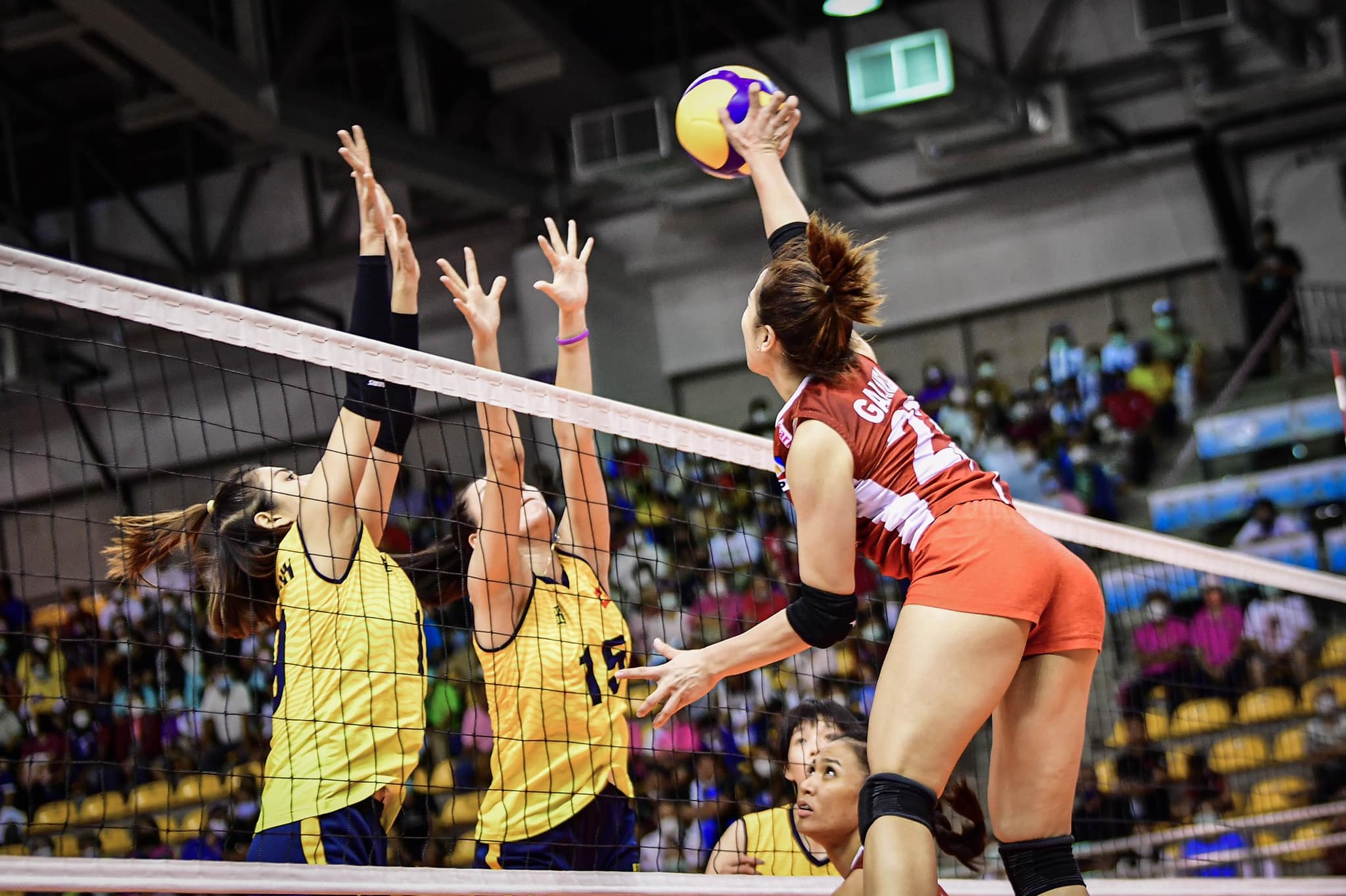 bong chuyen Viet Nam anh 6