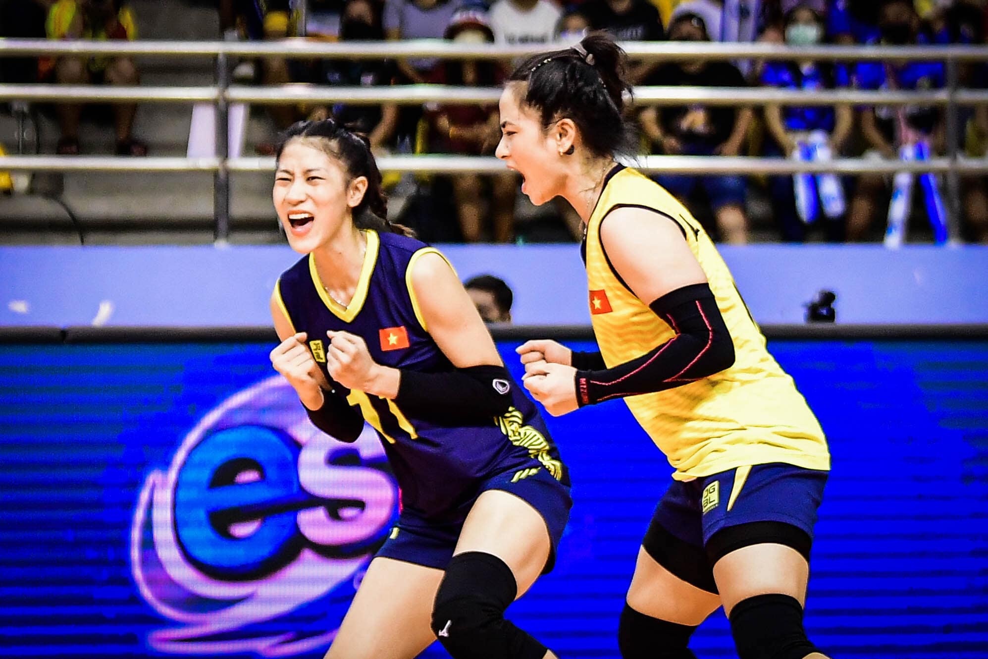 Bong chuyen Viet Nam anh 6