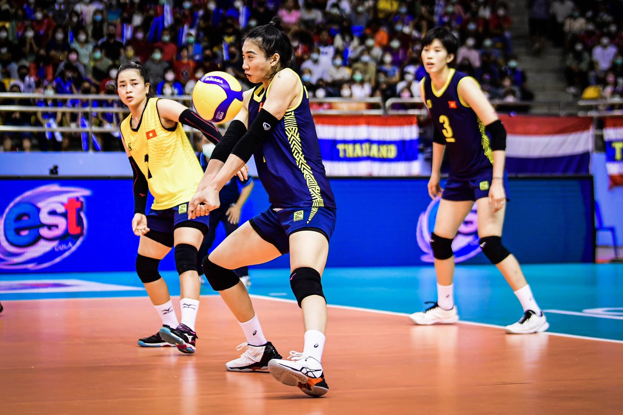 Bong chuyen Viet Nam anh 2