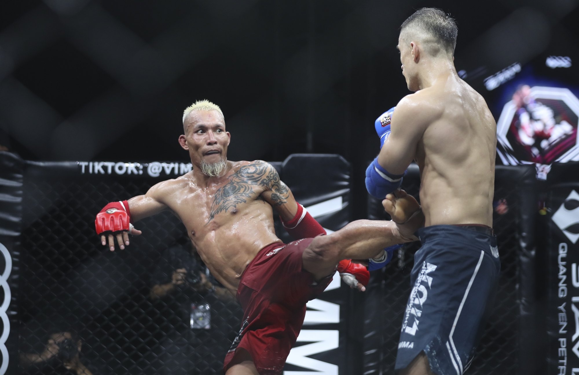 Tran Quang Loc MMA anh 1