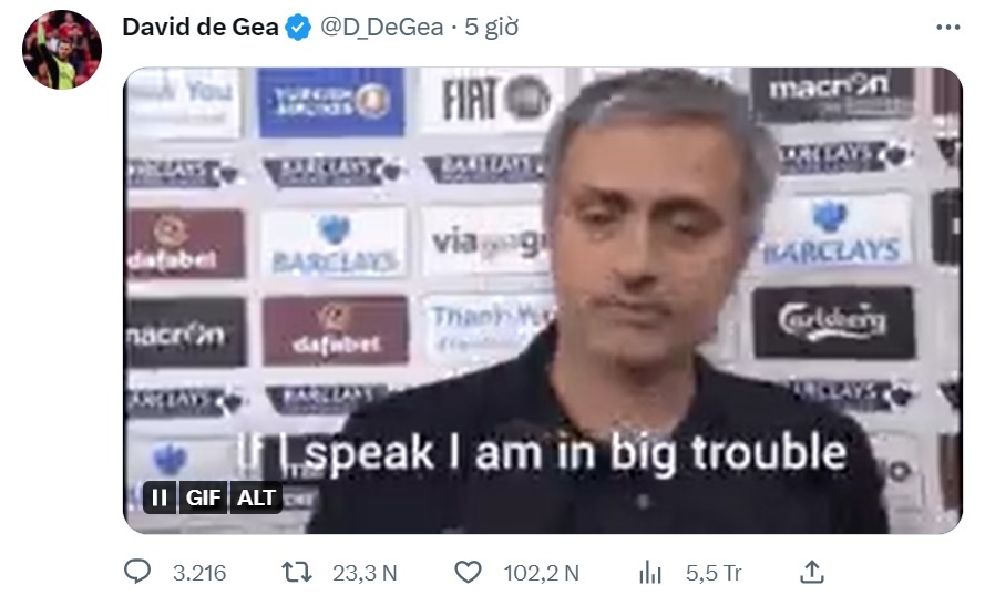 De Gea Man Utd anh 1