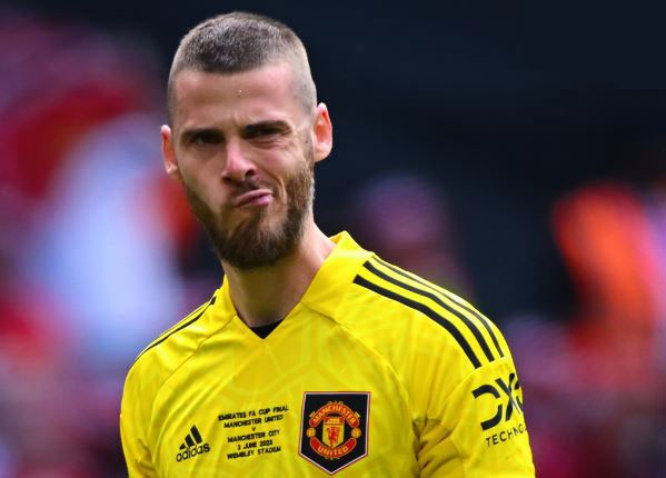 Dong thai gay to mo cua De Gea hinh anh