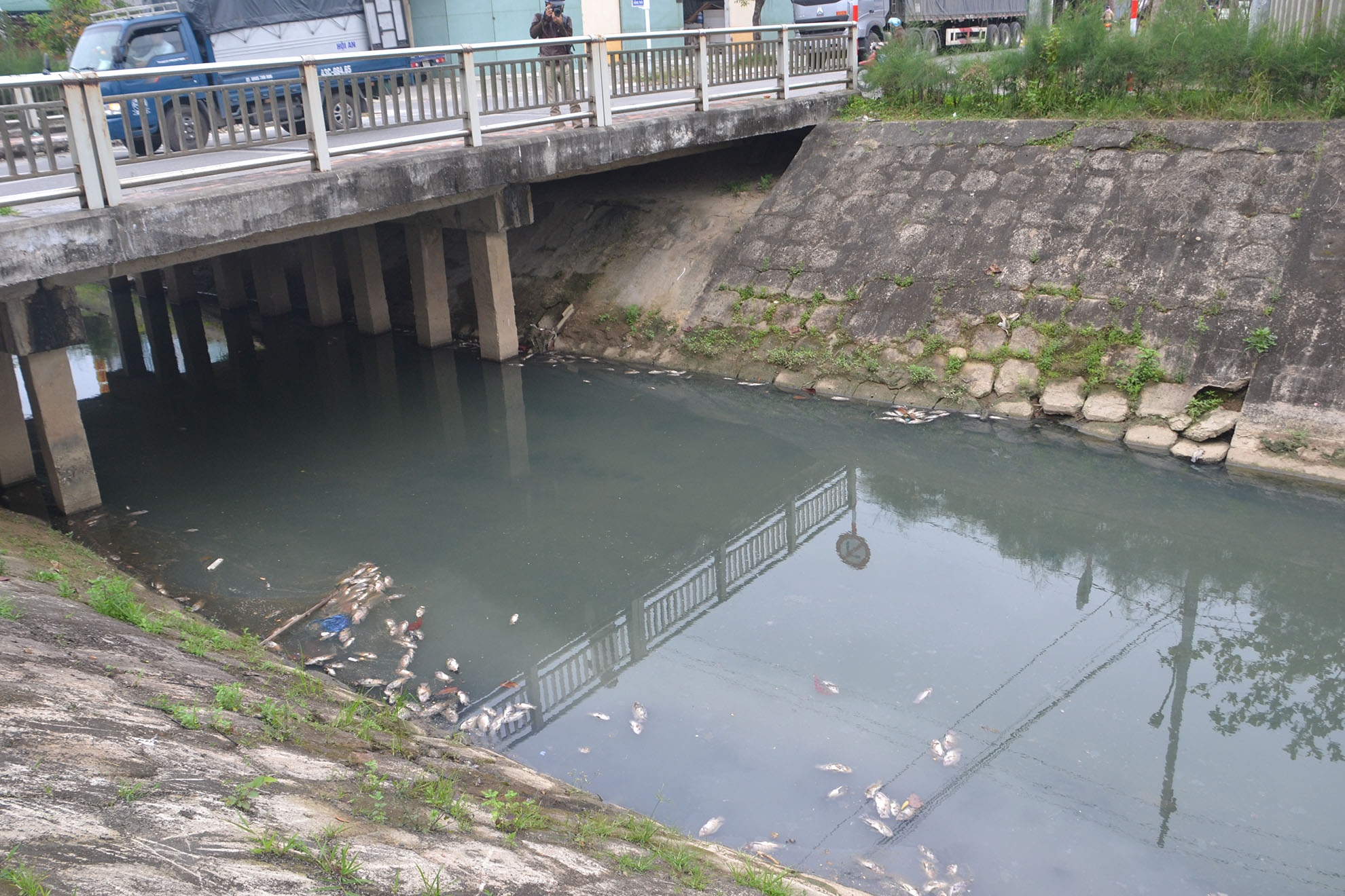 Ca chet hang loat tren kenh anh 1