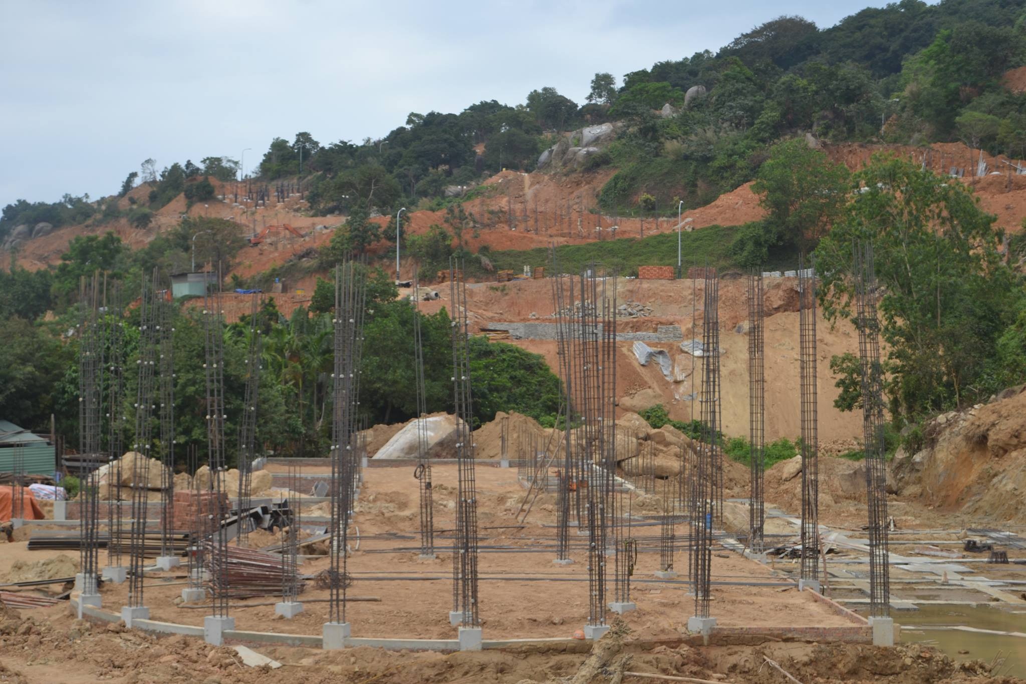 Chu tich Da Nang kiem tra du an xay dung trai phep o nui Son Tra hinh anh