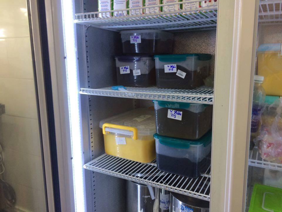 Khach hang quay clip to tra sua noi tieng co gioi hinh anh