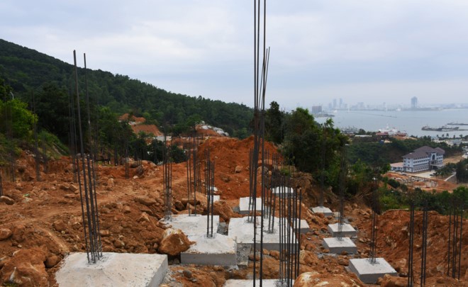 Vu dao xoi Son Tra: Da Nang tiep thu chi dao cua Chinh phu hinh anh