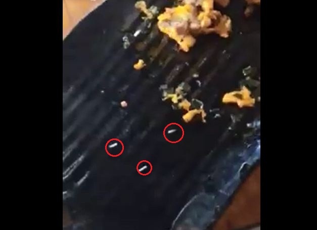 Clip gioi bo trong dia sun ga hinh anh