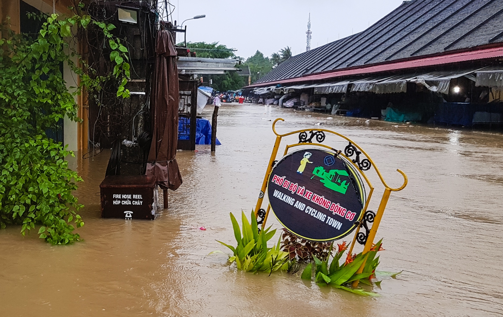 Lu tai Hoi An anh 11