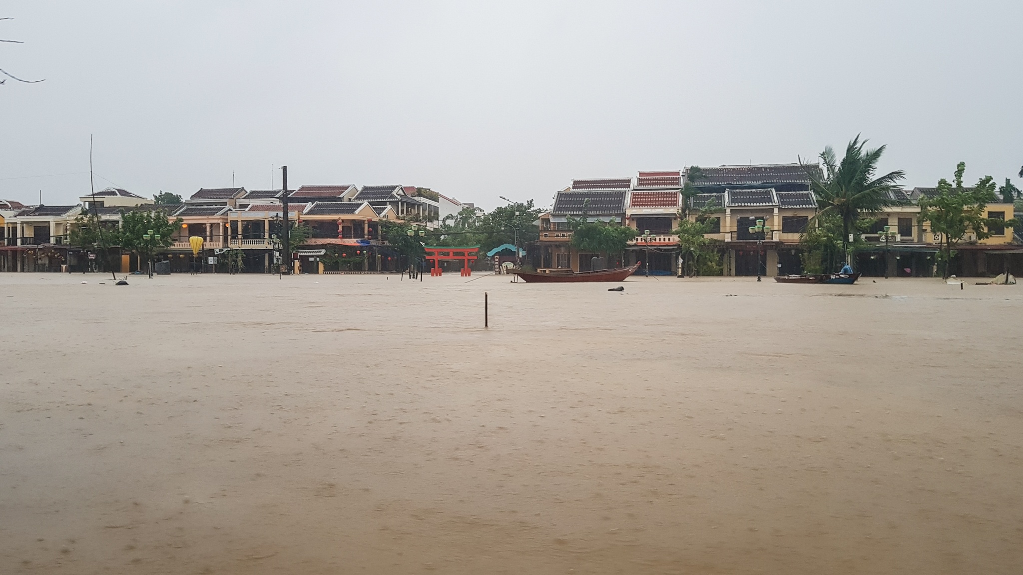 Lu tai Hoi An anh 1