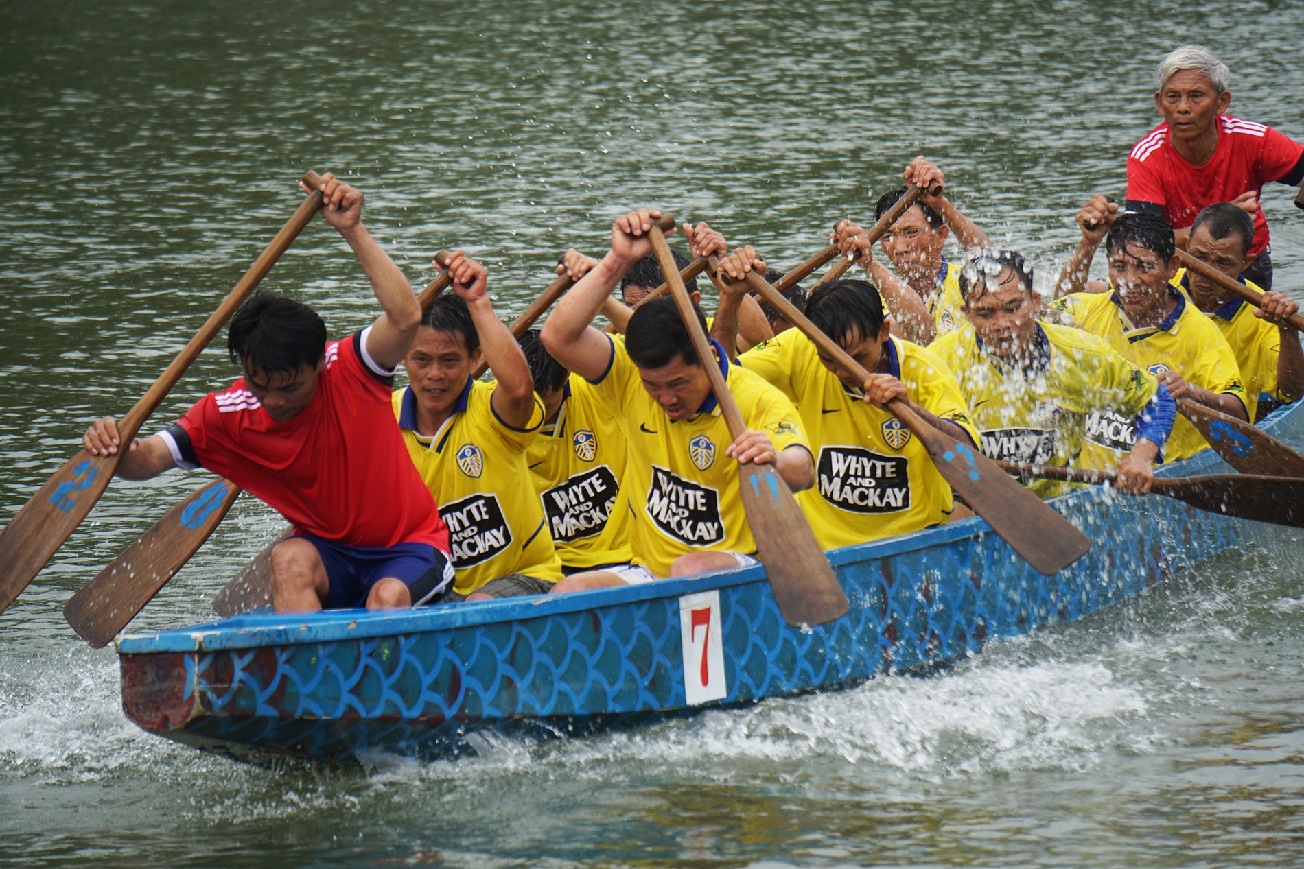 Le hoi dinh lang Tuy Loan Da Nang anh 8