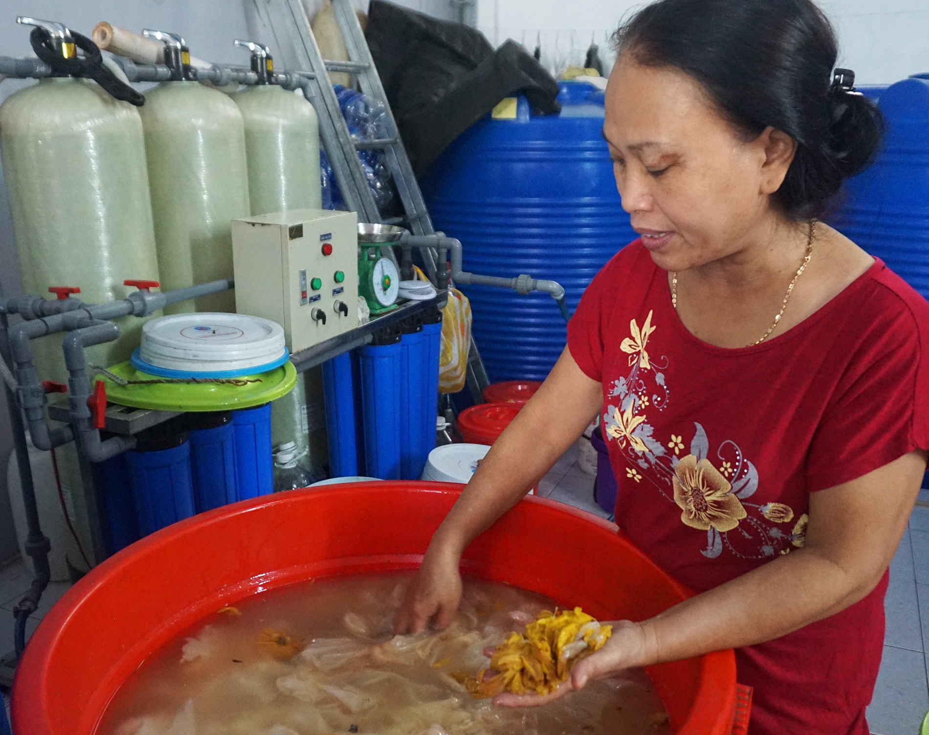 Bien rac thai, hoa qua thoi thanh nuoc rua chen hinh anh