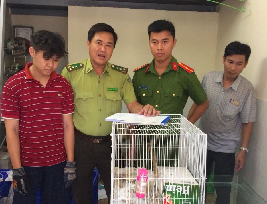 Giai cuu 18 ca the dong vat rung sap bi ban vao quan nhau hinh anh