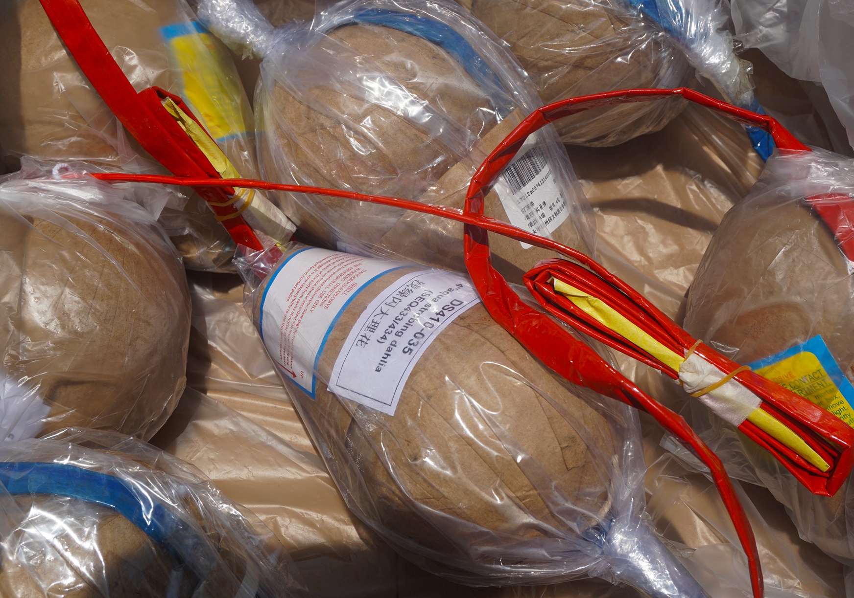 Can canh dan phao hoa o Da Nang anh 6