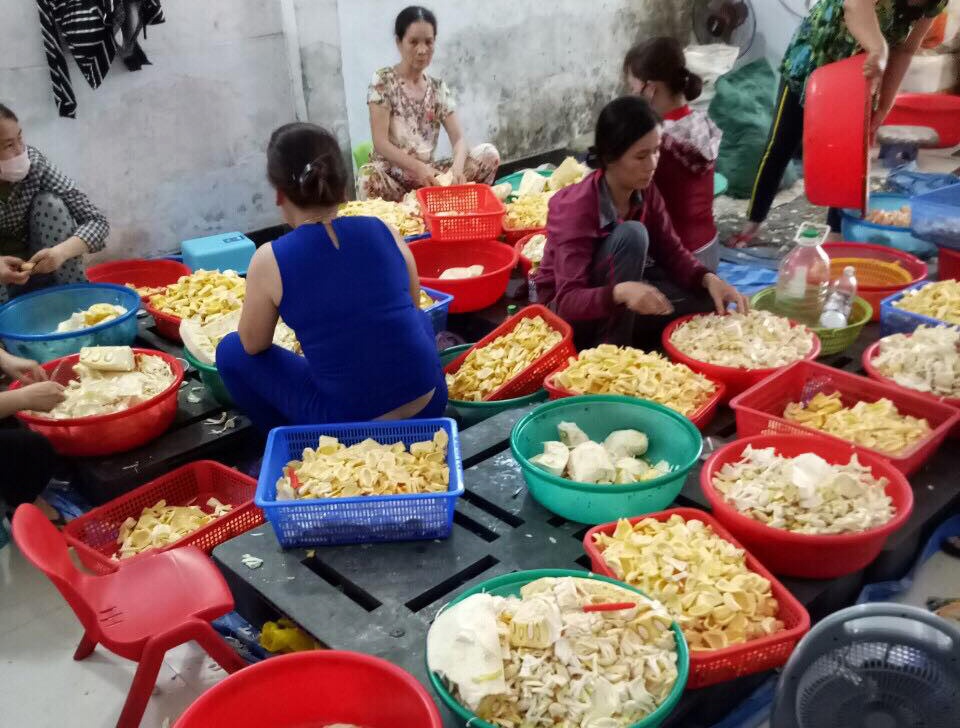 Bat qua tang co so che bien che ban o Da Nang hinh anh