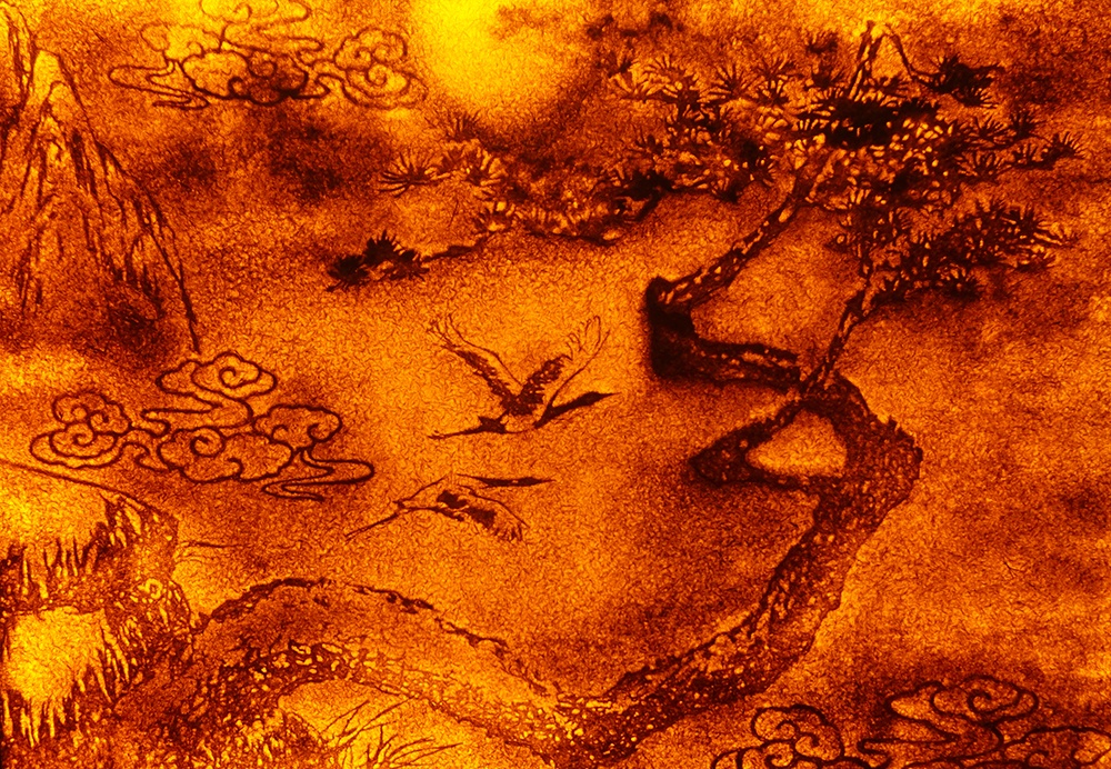 Bien canh dua vut di o bai bien thanh giay va tranh hinh anh