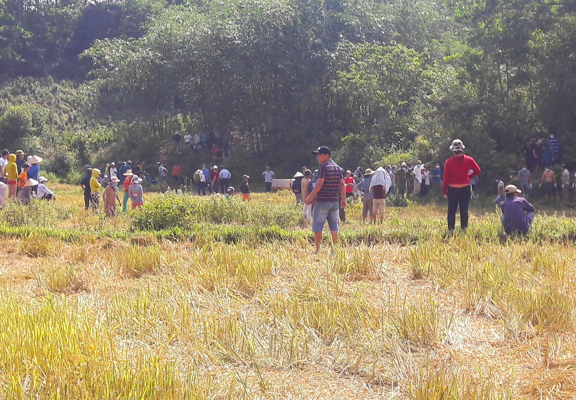 Nguoi dan ong bi giet tai Da Nang anh 2