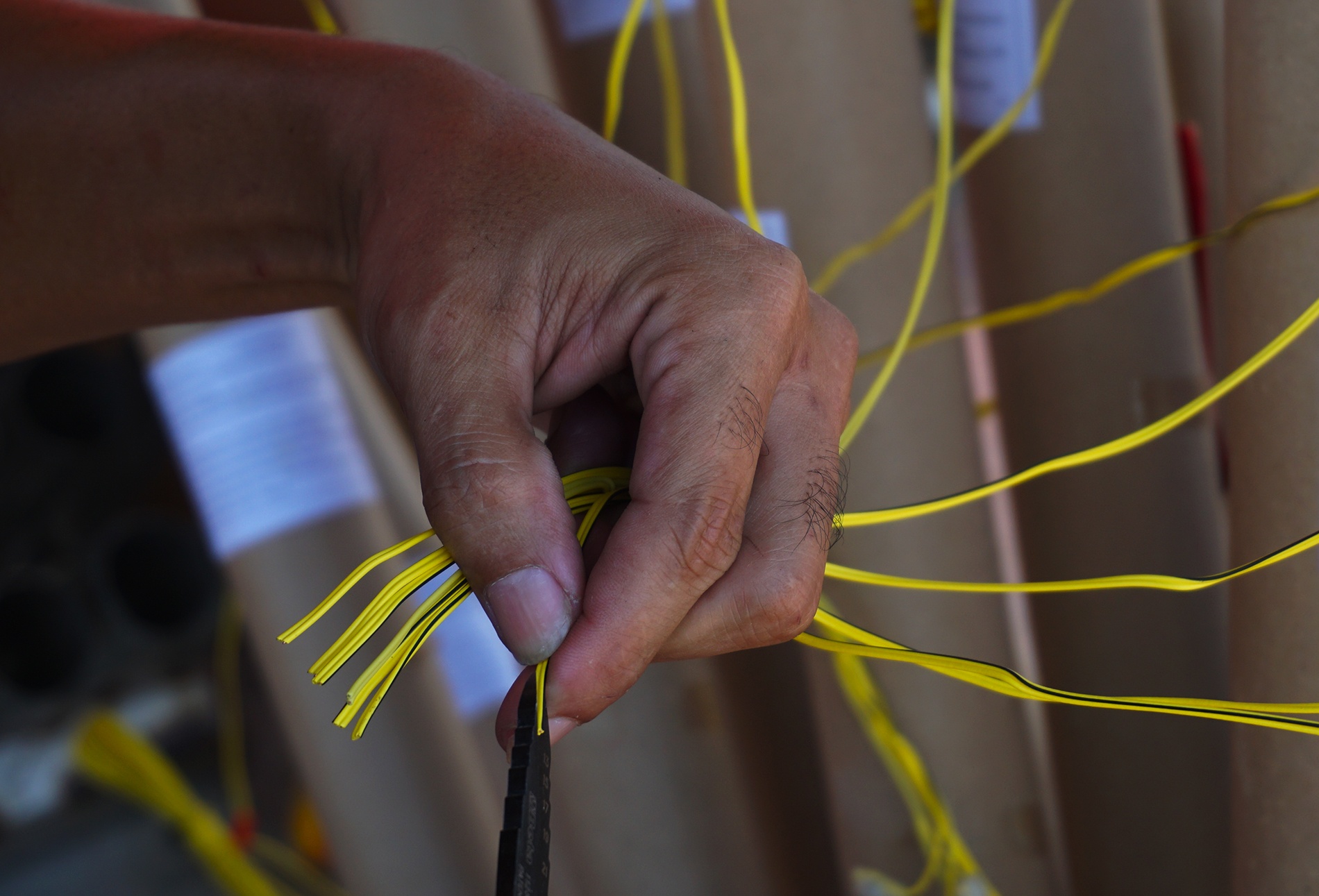 ran dia phao cua Hong Kong va Italy anh 10