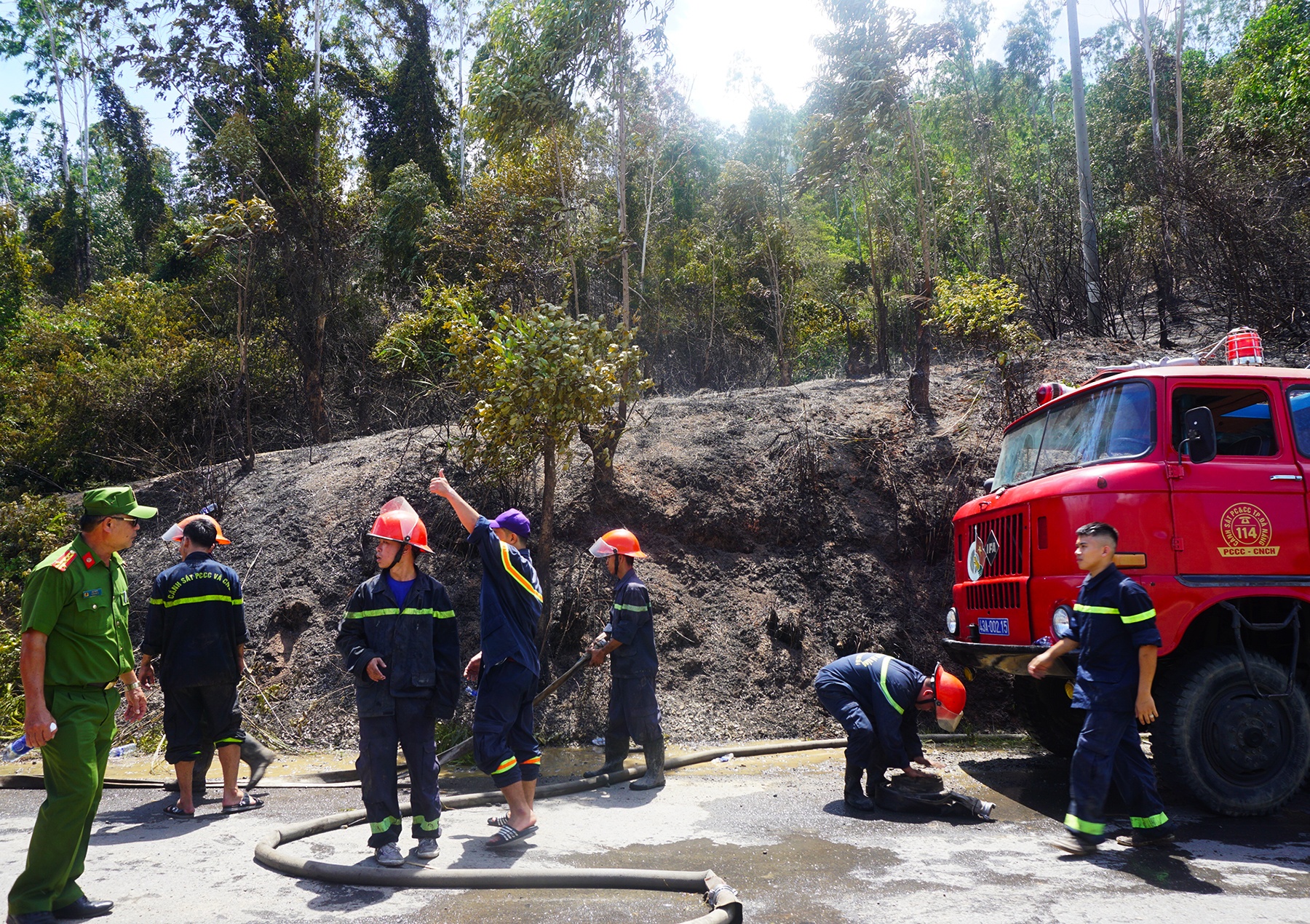 Cháy rừng ở Đà Nẵng ảnh 1 Chay rung o Da Nang anh 1