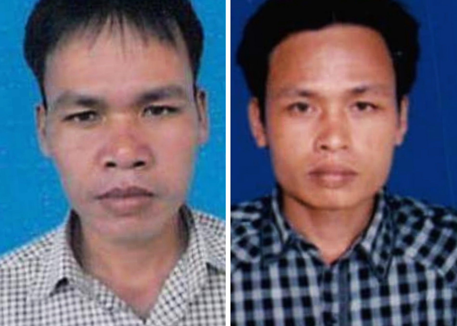 Bắt nghi can phá rừng Quảng Nam ảnh 1 Bat nghi can pha rung Quang Nam anh 1