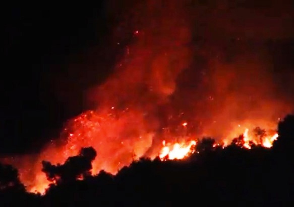 Hang tram nguoi tham gia chua chay rung trong dem hinh anh