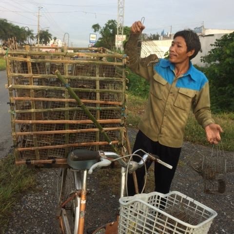 Bat chuot mua lu mien tay anh 11