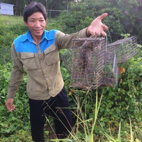 Bat chuot mua lu mien tay anh 9