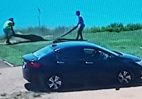 Truy tim 2 thanh nien di oto len ban dao Son Tra cat trom co nhan tao hinh anh