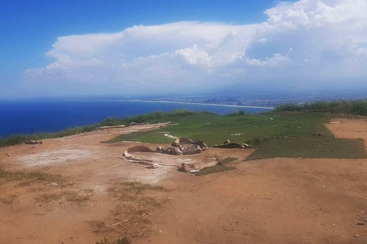 Lai oto cat trom co nhan tao anh 1