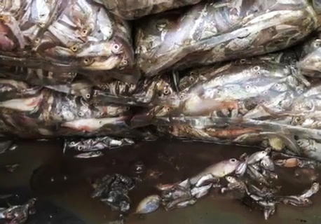 Xe tai cho 3,5 tan ca de chay nuoc thoi xuong duong hinh anh