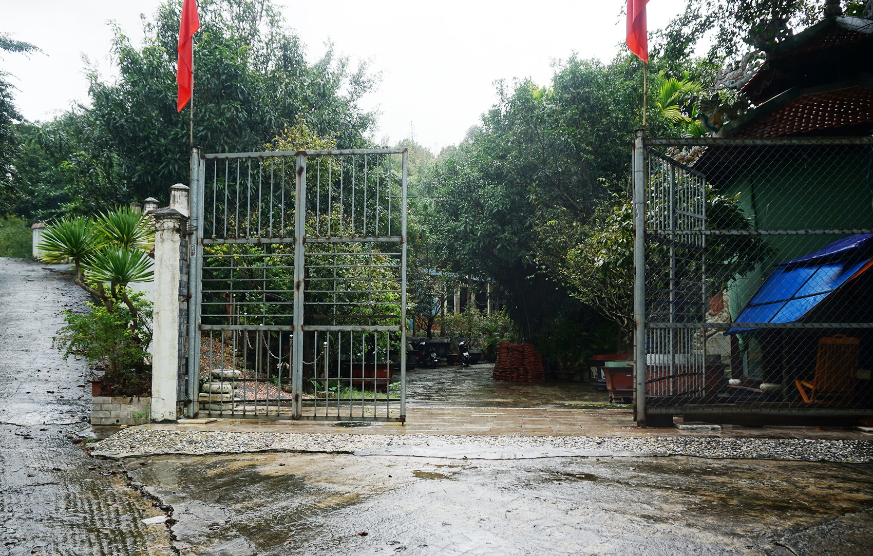 Thao do biet phu o Da Nang anh 12