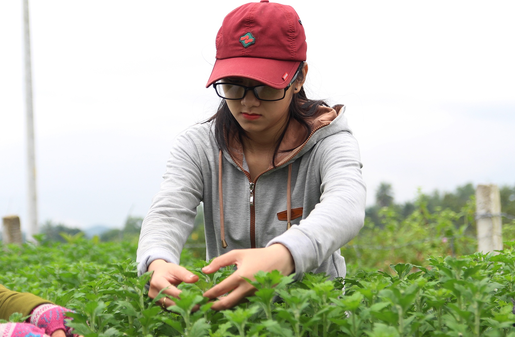 Chi tien trieu thue sinh vien ngat nu hoa hinh anh