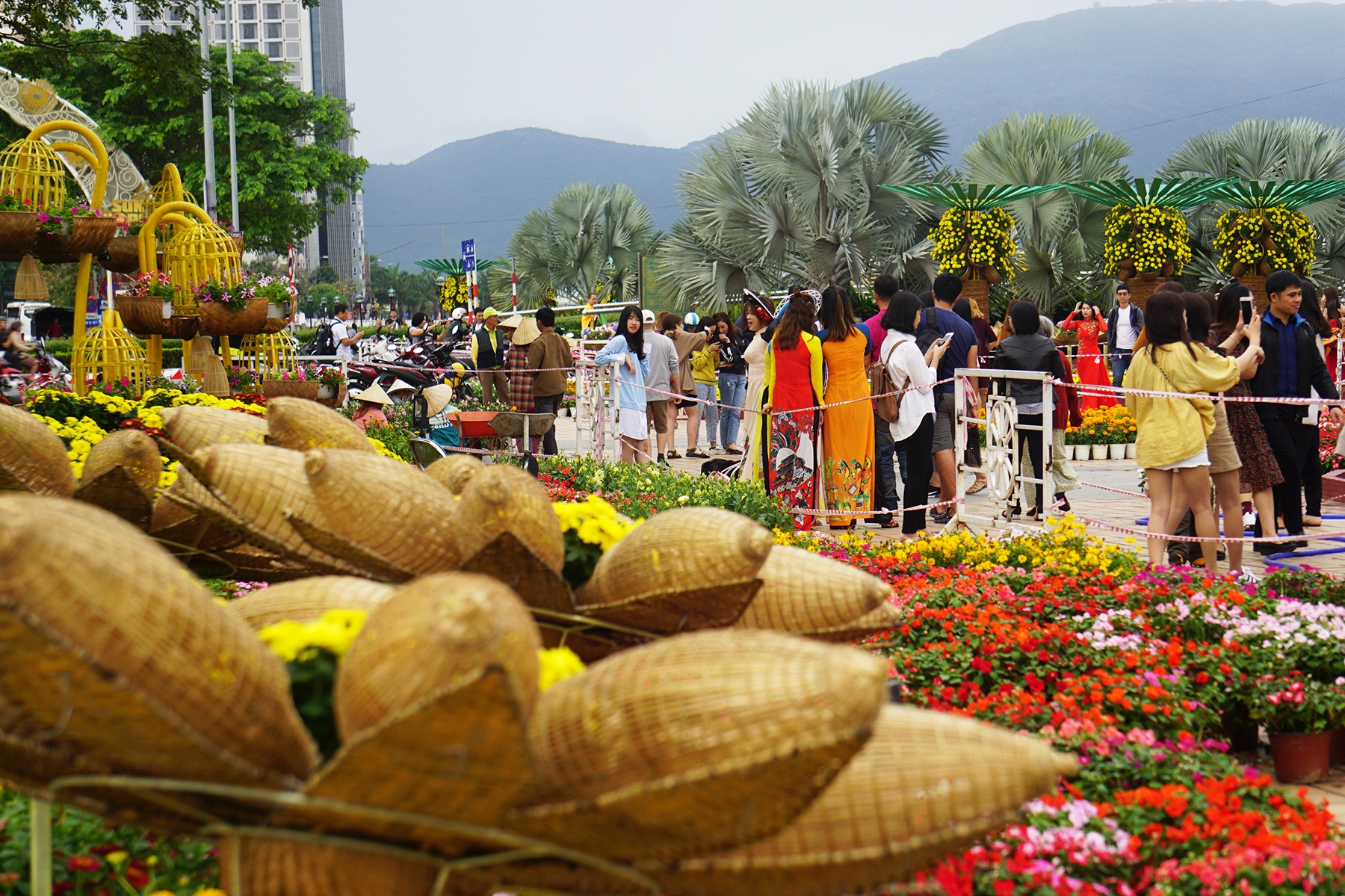 Duong hoa Da Nang hut khach anh 8