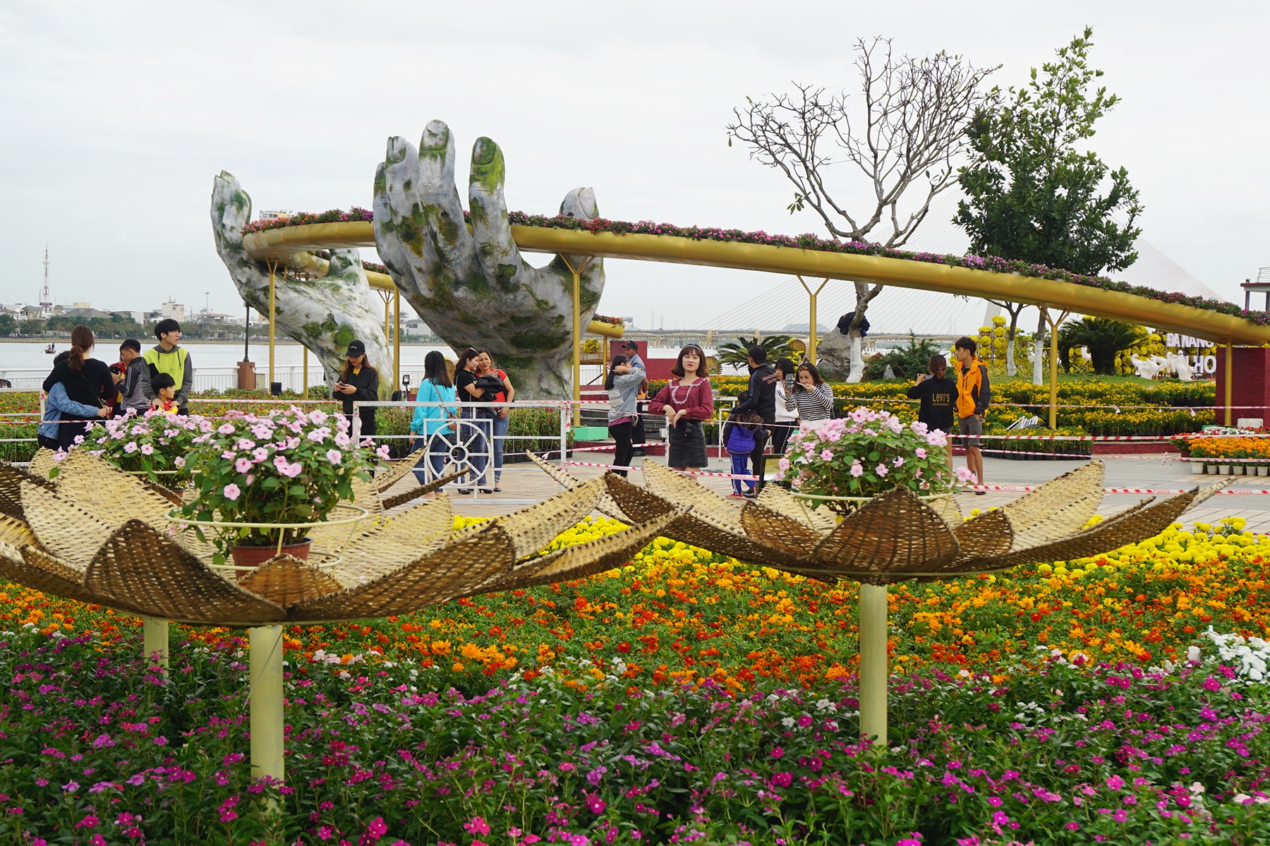 Duong hoa Da Nang hut khach anh 2