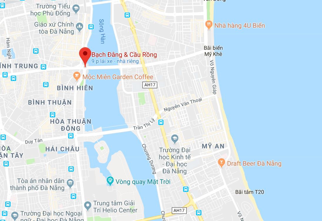 Duong hoa Da Nang hut khach anh 12