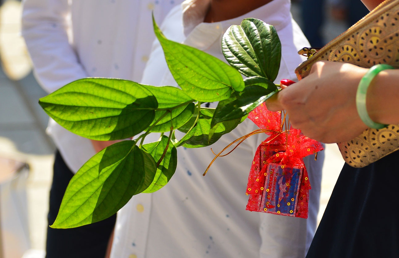 Nguoi dan di le chua ngay dau nam anh 8