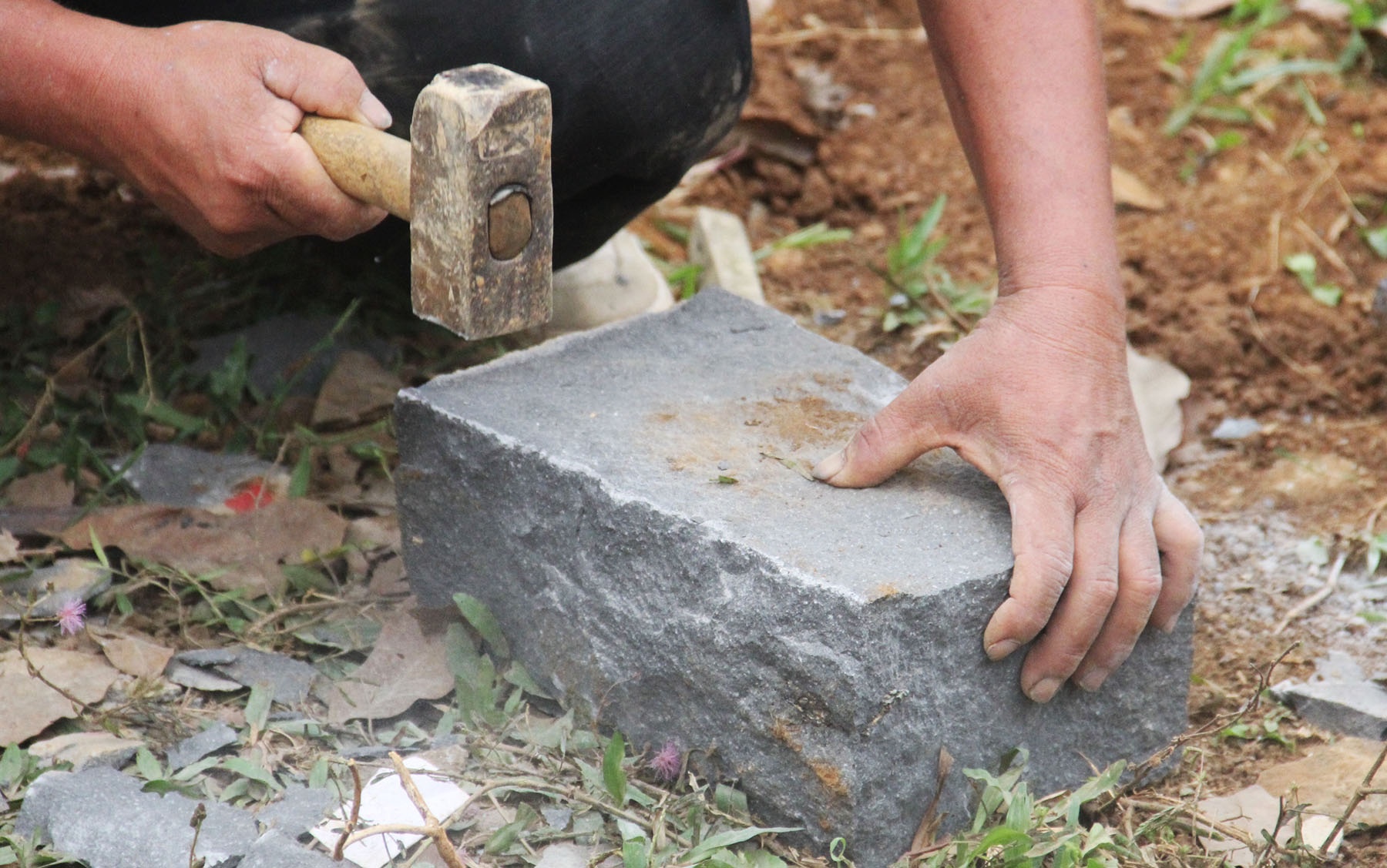 Hoi thi che da o Quang Tri anh 11