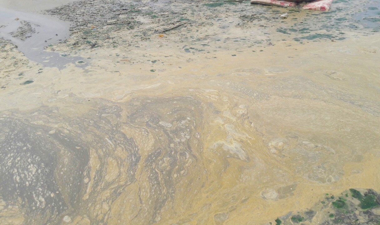 Nuoc thai sui bot vang chay thang ra bien Da Nang hinh anh