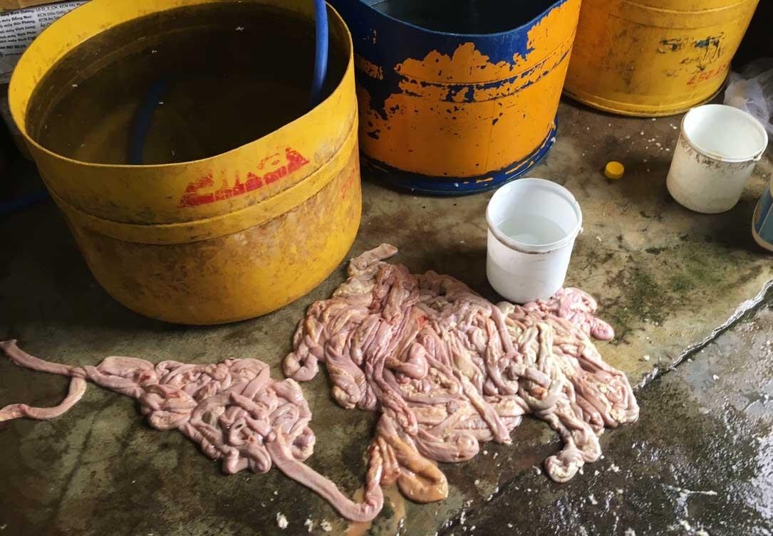 Co so che bien noi tang duoi san nha, nam canh bai rac hinh anh