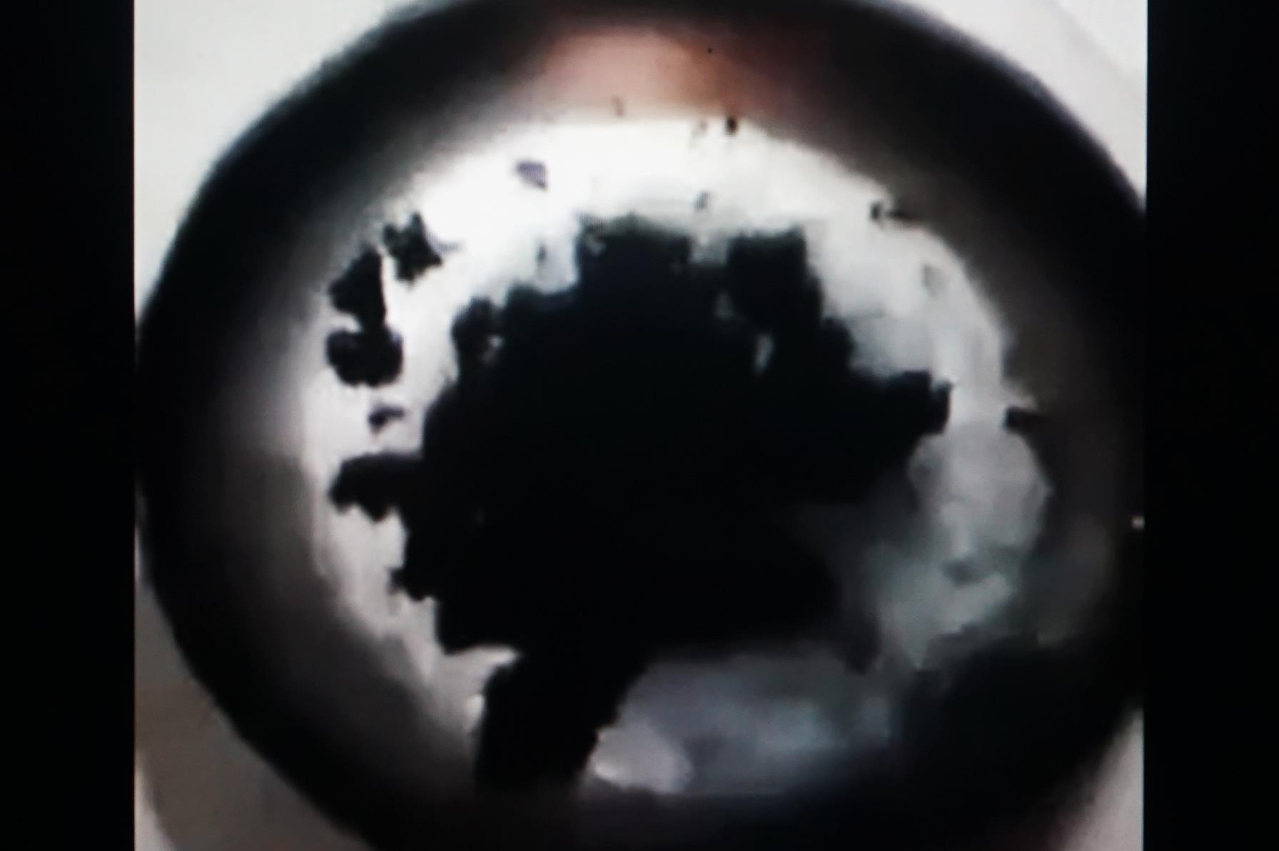 Gao cao su o Da Nang anh 1