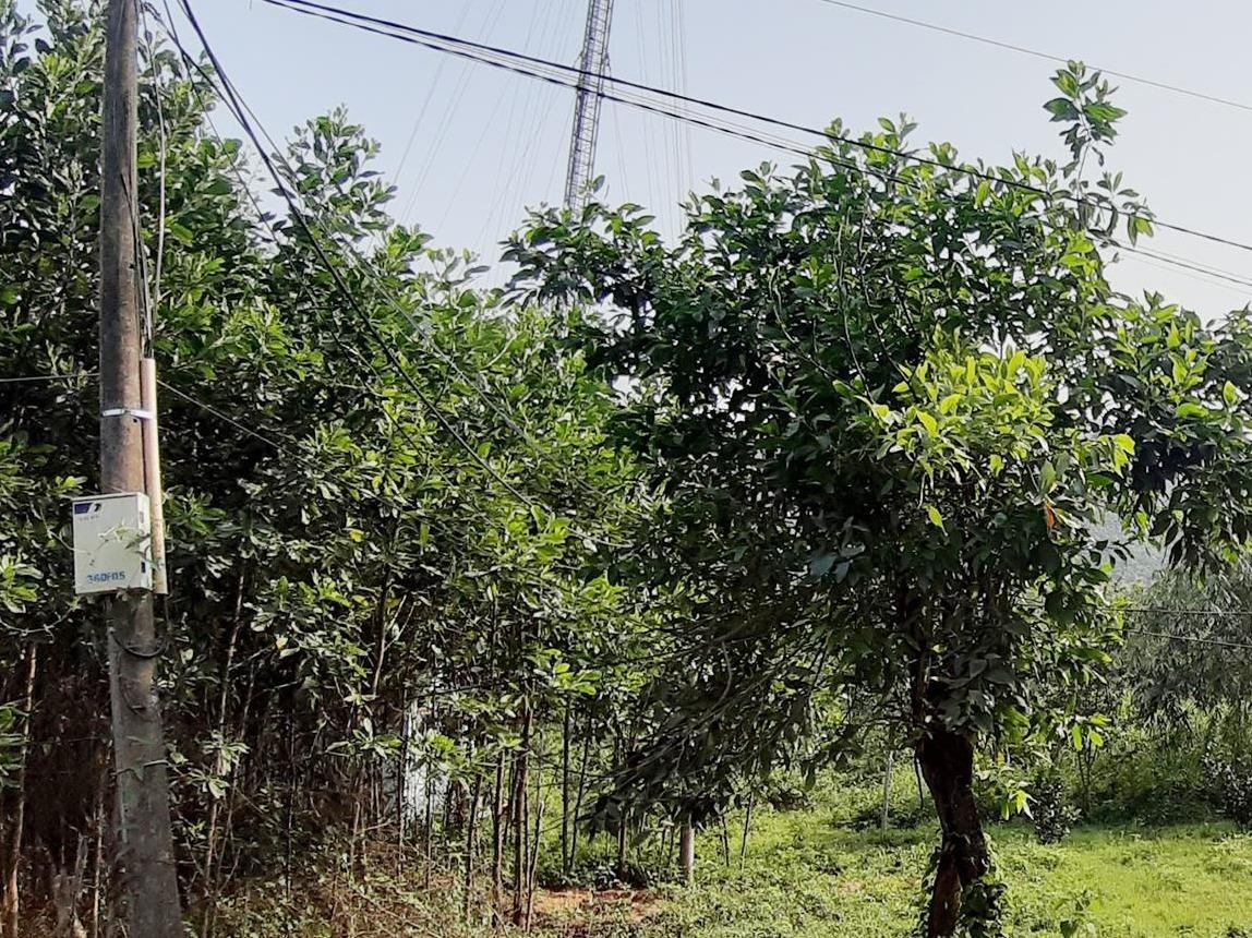 Lap day mang Wi-Fi, nhan vien VNPT bi dien giat chet hinh anh