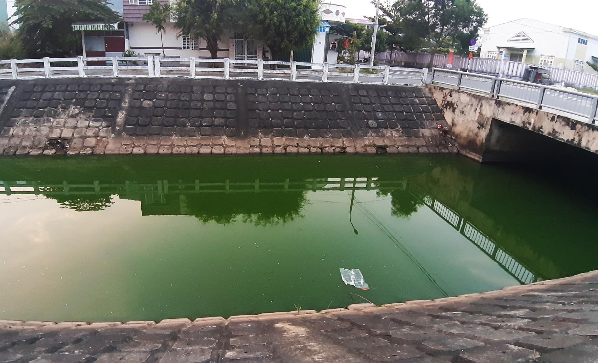 Nuoc kenh o Da Nang doi mau xanh, xuat hien nhieu ca chet hinh anh