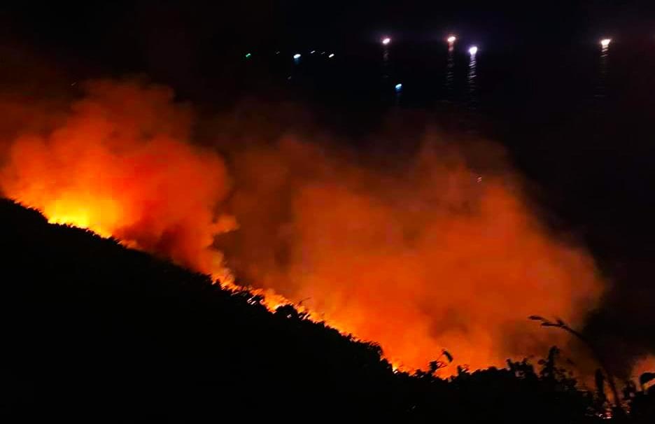 Cháy ở bán đảo Sơn Trà ảnh 1 Chay o ban dao Son Tra anh 1