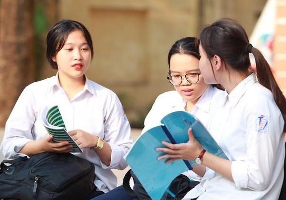 Da Nang khong co thi sinh dat diem 10 Ngu van vao lop 10 hinh anh