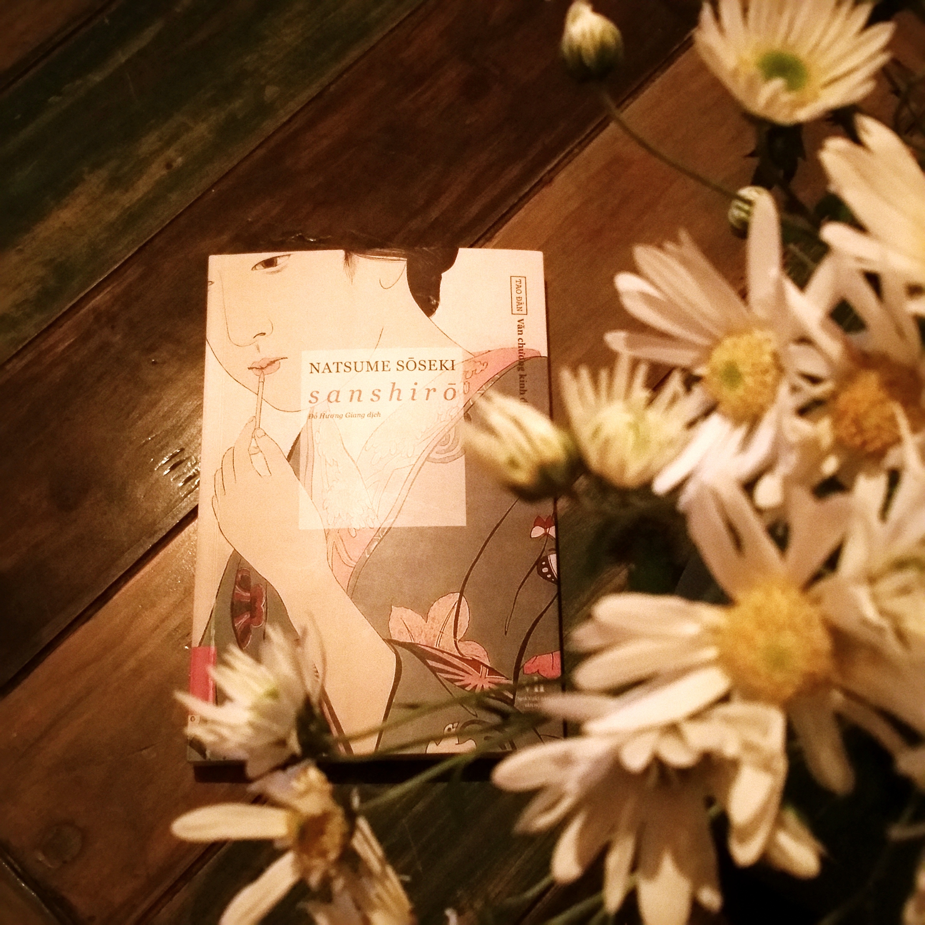 Sanshiro một cuốn sách đẹp ảnh 1 Sanshiro mot cuon sach dep anh 1