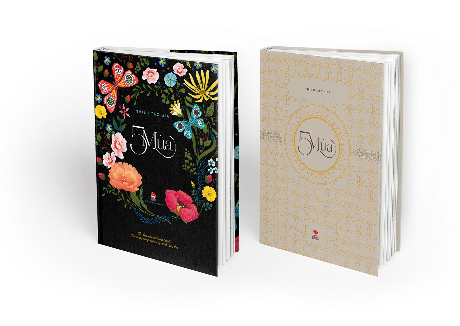 hoa si Khoa Le noi ve minh hoa sach anh 2