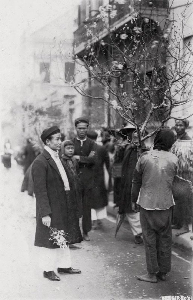 ngày tết đọc Thương nhớ mười hai ảnh 2 ngay tet doc Thuong nho muoi hai anh 2